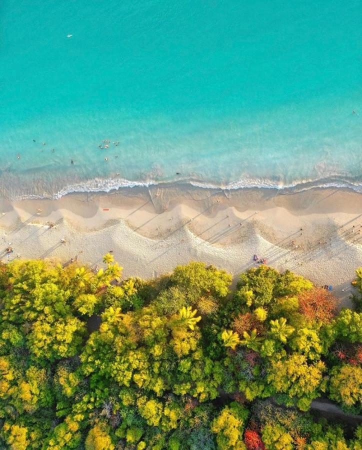 Superbe Studio Ultra Cosy A 2 Min De La Plage Sainte-Anne Dış mekan fotoğraf